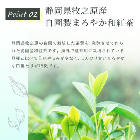 蘋果薄荷 x 日本紅茶茶包 2.5g x 35p